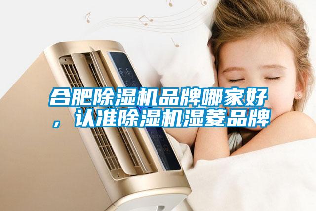 合肥除濕機品牌哪家好，認準除濕機濕菱品牌