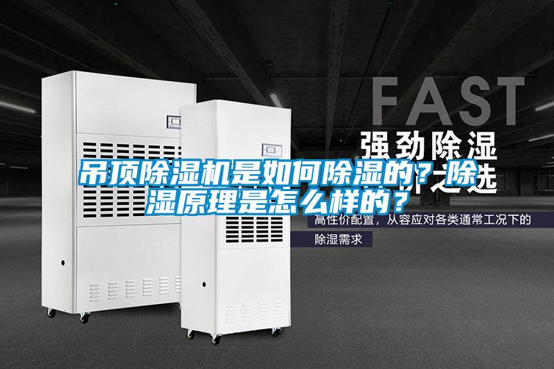 吊頂除濕機(jī)是如何除濕的？除濕原理是怎么樣的？