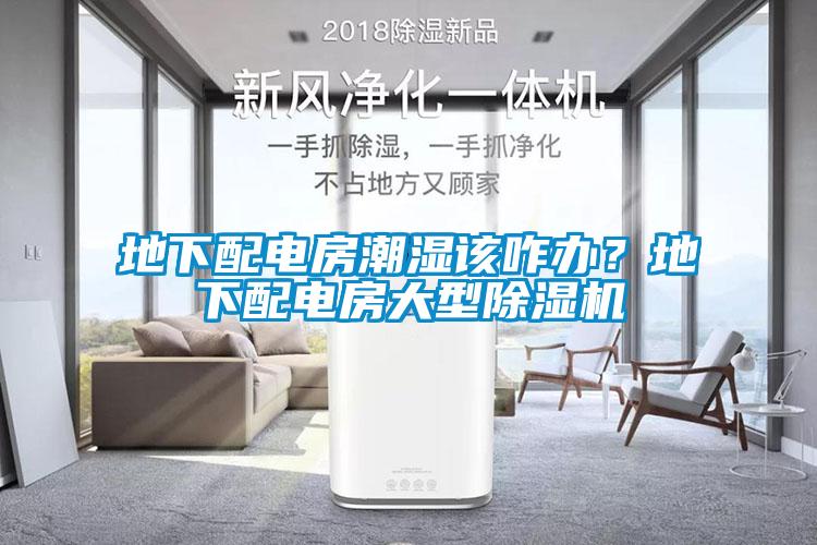 地下配電房潮濕該咋辦？地下配電房大型除濕機