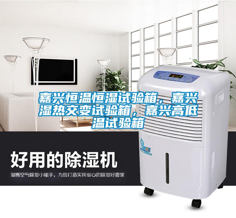 嘉興恒溫恒濕試驗箱，嘉興濕熱交變試驗箱，嘉興高低溫試驗箱