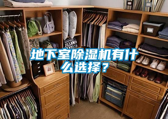 地下室除濕機(jī)有什么選擇？
