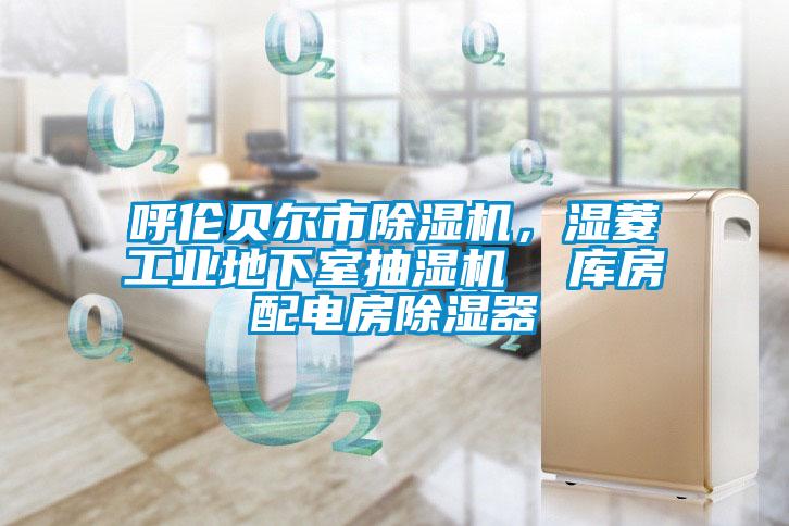 呼倫貝爾市除濕機(jī)，濕菱工業(yè)地下室抽濕機(jī)  庫房配電房除濕器