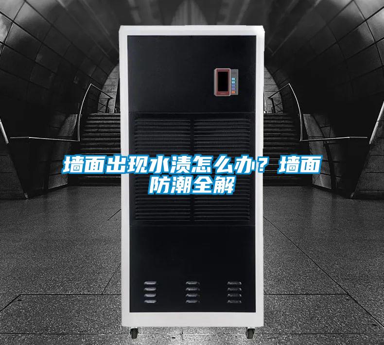 墻面出現(xiàn)水漬怎么辦？墻面防潮全解
