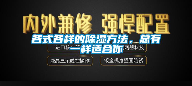 各式各樣的除濕方法，總有一樣適合你