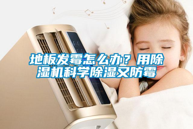 地板發(fā)霉怎么辦？用除濕機科學除濕又防霉