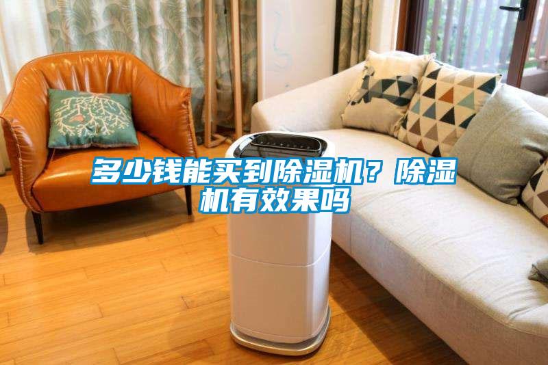 多少錢能買到除濕機？除濕機有效果嗎