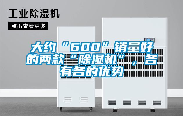 大約“600”銷量好的兩款“除濕機(jī)”，各有各的優(yōu)勢