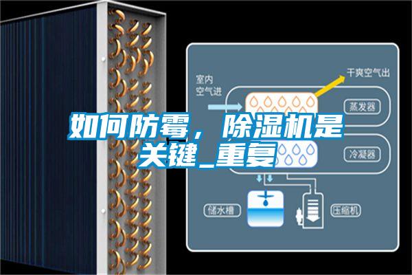 如何防霉，除濕機(jī)是關(guān)鍵_重復(fù)