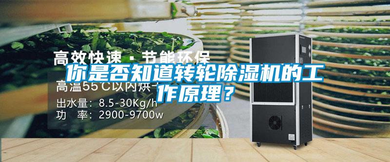 你是否知道轉(zhuǎn)輪除濕機(jī)的工作原理？