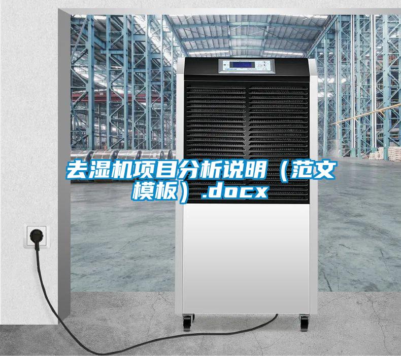 去濕機(jī)項目分析說明（范文模板）.docx