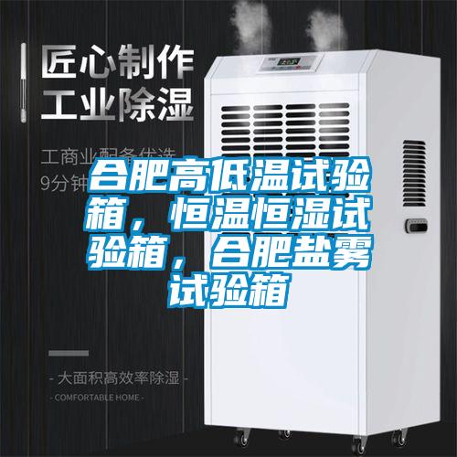 合肥高低溫試驗(yàn)箱，恒溫恒濕試驗(yàn)箱，合肥鹽霧試驗(yàn)箱