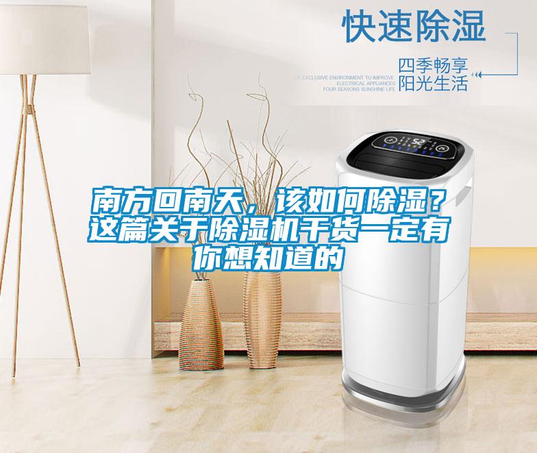 南方回南天，該如何除濕？這篇關(guān)于除濕機干貨一定有你想知道的