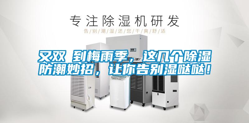 又雙叒到梅雨季，這幾個除濕防潮妙招，讓你告別濕噠噠！