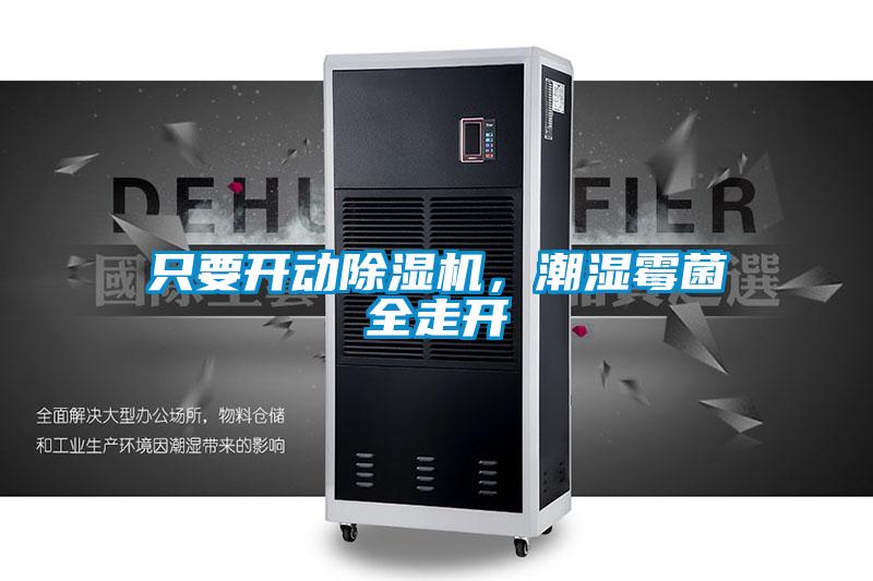 只要開動除濕機(jī)，潮濕霉菌全走開