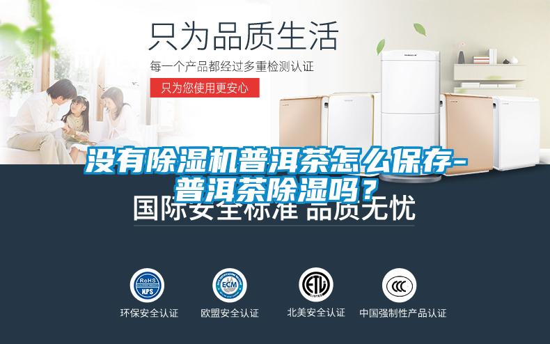 沒有除濕機(jī)普洱茶怎么保存-普洱茶除濕嗎？