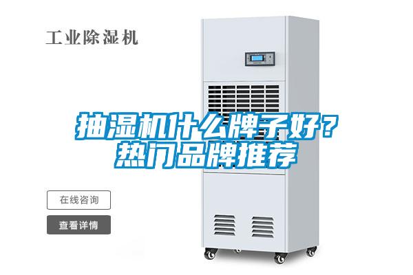 抽濕機什么牌子好？熱門品牌推薦