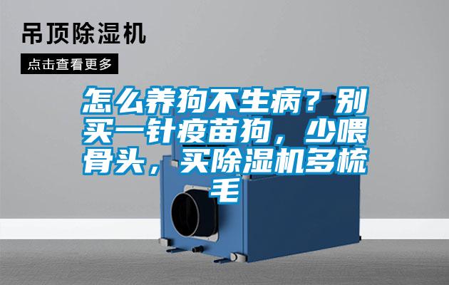 怎么養(yǎng)狗不生病？別買一針疫苗狗，少喂骨頭，買除濕機(jī)多梳毛