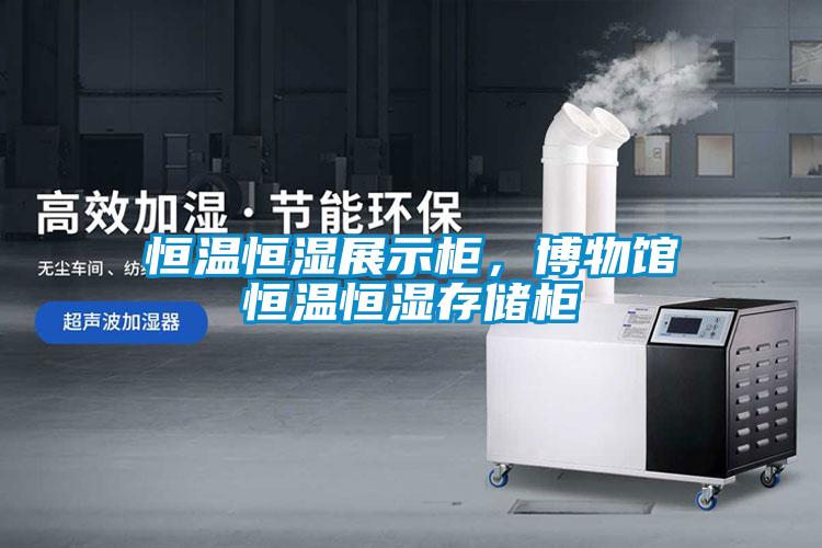 恒溫恒濕展示柜，博物館恒溫恒濕存儲(chǔ)柜