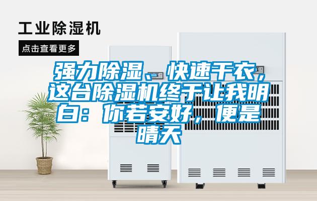 強(qiáng)力除濕、快速干衣，這臺(tái)除濕機(jī)終于讓我明白：你若安好，便是晴天