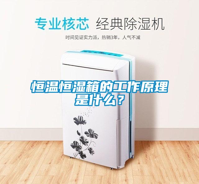 恒溫恒濕箱的工作原理是什么？