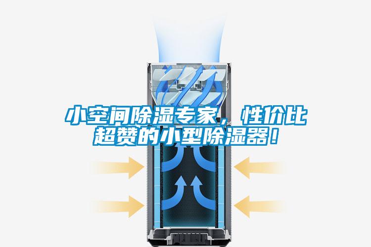小空間除濕專家，性價比超贊的小型除濕器！