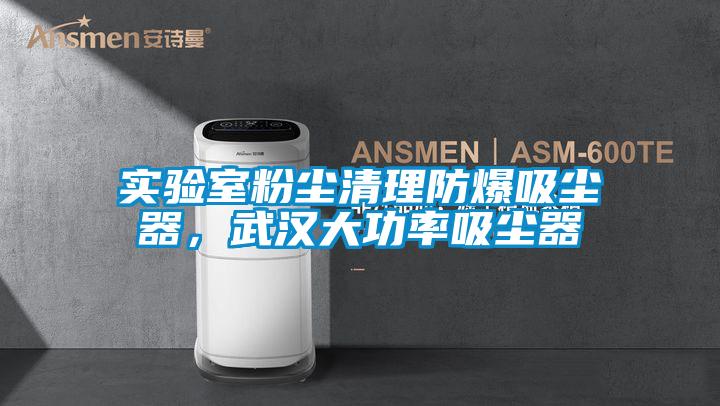 實(shí)驗(yàn)室粉塵清理防爆吸塵器，武漢大功率吸塵器