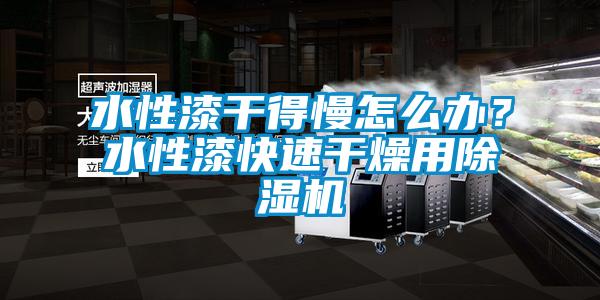 水性漆干得慢怎么辦？水性漆快速干燥用除濕機(jī)