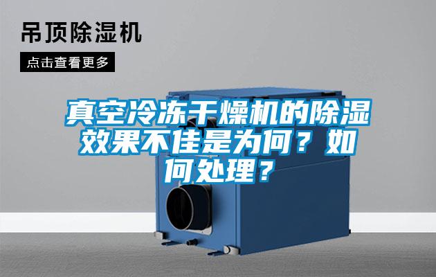 真空冷凍干燥機的除濕效果不佳是為何？如何處理？