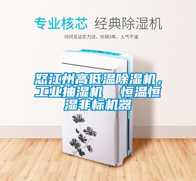 怒江州高低溫除濕機(jī)，工業(yè)抽濕機(jī)  恒溫恒濕非標(biāo)機(jī)器