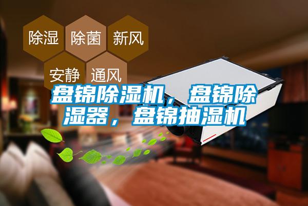 盤錦除濕機，盤錦除濕器，盤錦抽濕機
