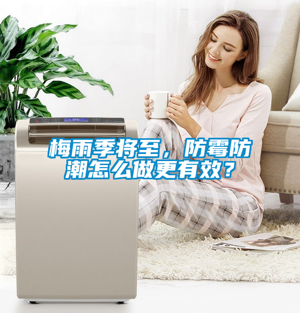 梅雨季將至，防霉防潮怎么做更有效？