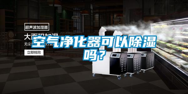 空氣凈化器可以除濕嗎？