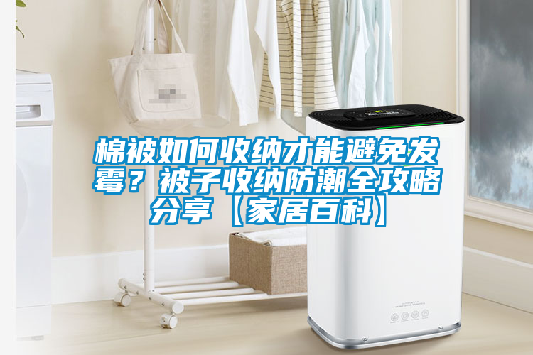 棉被如何收納才能避免發(fā)霉？被子收納防潮全攻略分享【家居百科】