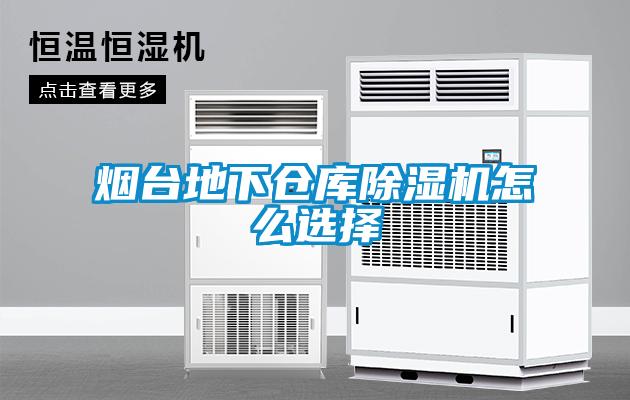 煙臺地下倉庫除濕機(jī)怎么選擇