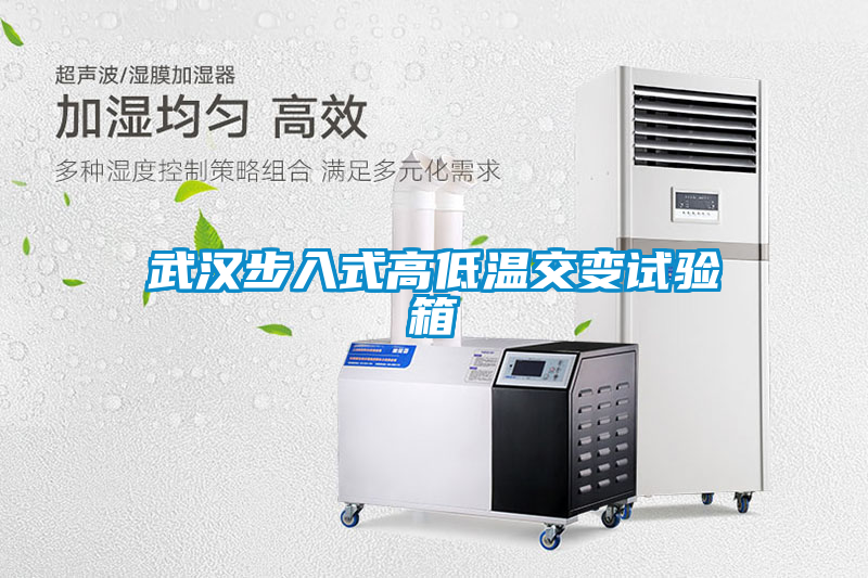 武漢步入式高低溫交變試驗(yàn)箱