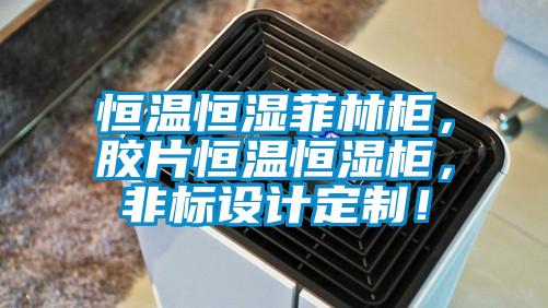 恒溫恒濕菲林柜，膠片恒溫恒濕柜，非標(biāo)設(shè)計(jì)定制！