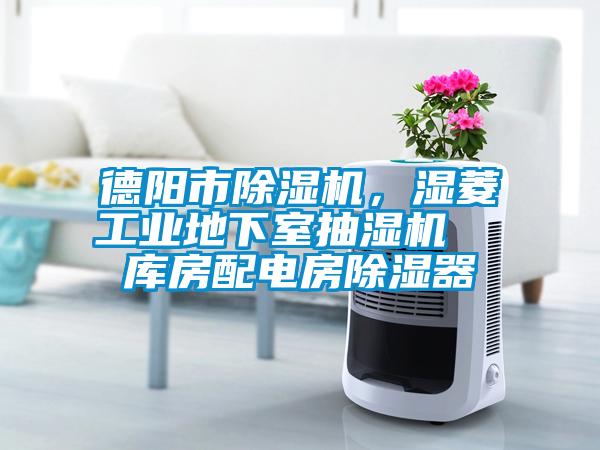 德陽市除濕機，濕菱工業(yè)地下室抽濕機  庫房配電房除濕器