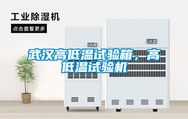 武漢高低溫試驗箱，高低溫試驗機(jī)