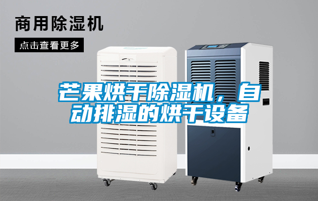 芒果烘干除濕機(jī)，自動(dòng)排濕的烘干設(shè)備