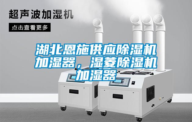 湖北恩施供應(yīng)除濕機(jī)加濕器，濕菱除濕機(jī)加濕器