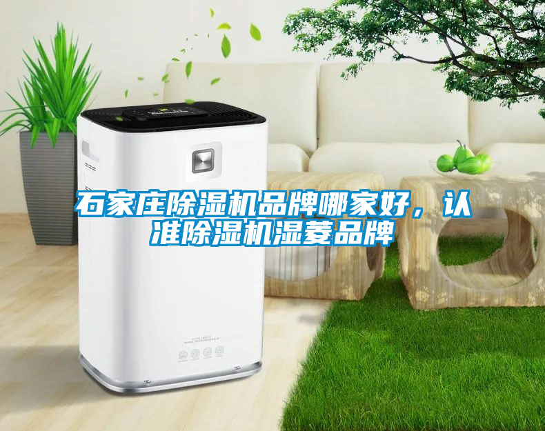 石家莊除濕機品牌哪家好，認準除濕機濕菱品牌
