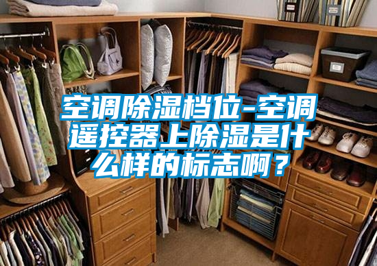 空調(diào)除濕檔位-空調(diào)遙控器上除濕是什么樣的標(biāo)志??？