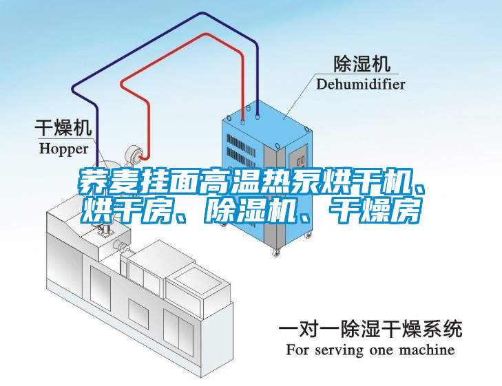 蕎麥掛面高溫?zé)岜煤娓蓹C(jī)、烘干房、除濕機(jī)、干燥房