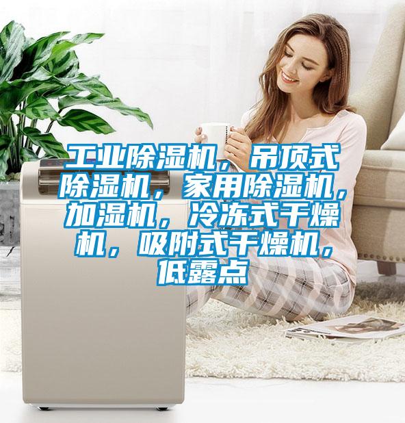 工業(yè)除濕機，吊頂式除濕機，家用除濕機，加濕機，冷凍式干燥機，吸附式干燥機，低露點