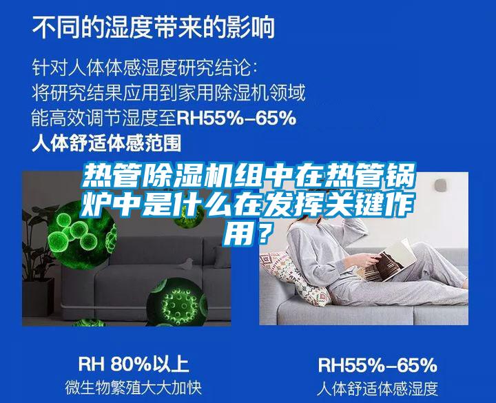 熱管除濕機組中在熱管鍋爐中是什么在發(fā)揮關(guān)鍵作用？