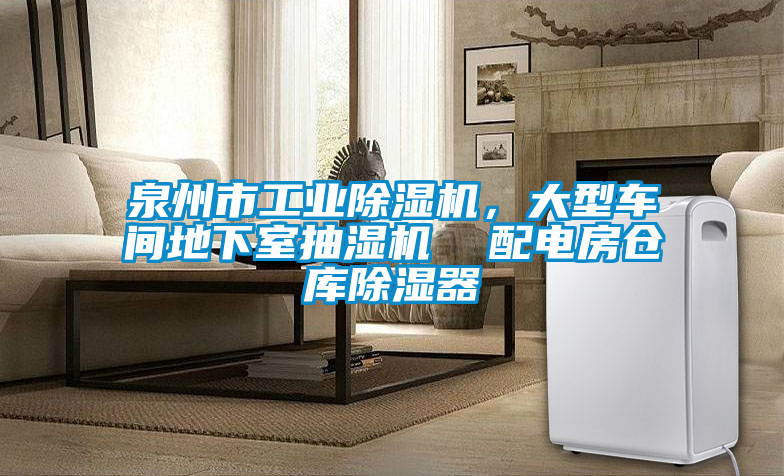 泉州市工業(yè)除濕機(jī)，大型車間地下室抽濕機(jī)  配電房倉庫除濕器