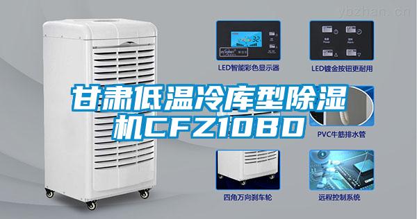 甘肅低溫冷庫(kù)型除濕機(jī)CFZ10BD