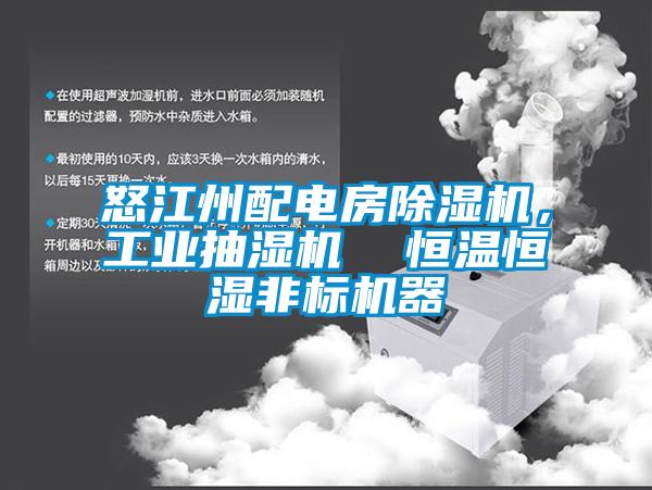 怒江州配電房除濕機(jī)，工業(yè)抽濕機(jī)  恒溫恒濕非標(biāo)機(jī)器