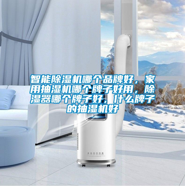 智能除濕機哪個品牌好，家用抽濕機哪個牌子好用，除濕器哪個牌子好，什么牌子的抽濕機好