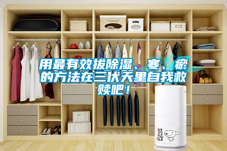 用最有效拔除濕、寒、瘀的方法在三伏天里自我救贖吧！